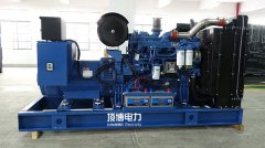 為什么企業(yè)不選擇天然氣或汽油發(fā)電機(jī)作為備用電源？